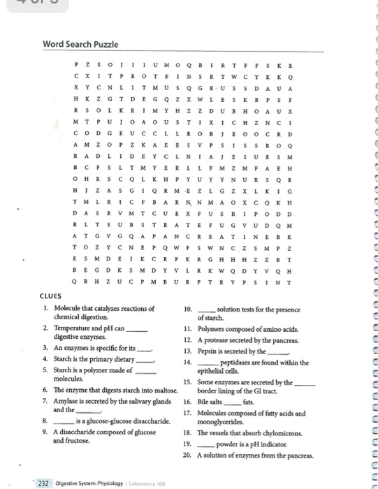 spice-of-lyfe-chemical-reaction-word-search