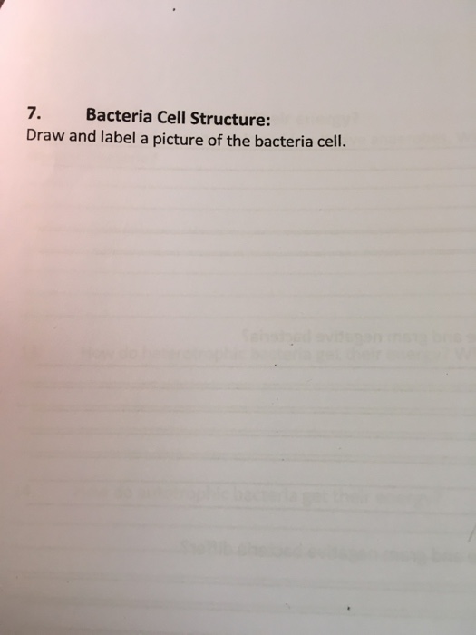 Solved 6. Kingdom Bacteria: Bacteria have three possible | Chegg.com