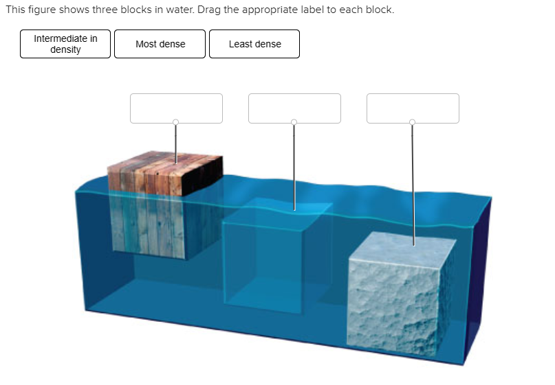 Solved This figure shows three blocks in water. Drag the