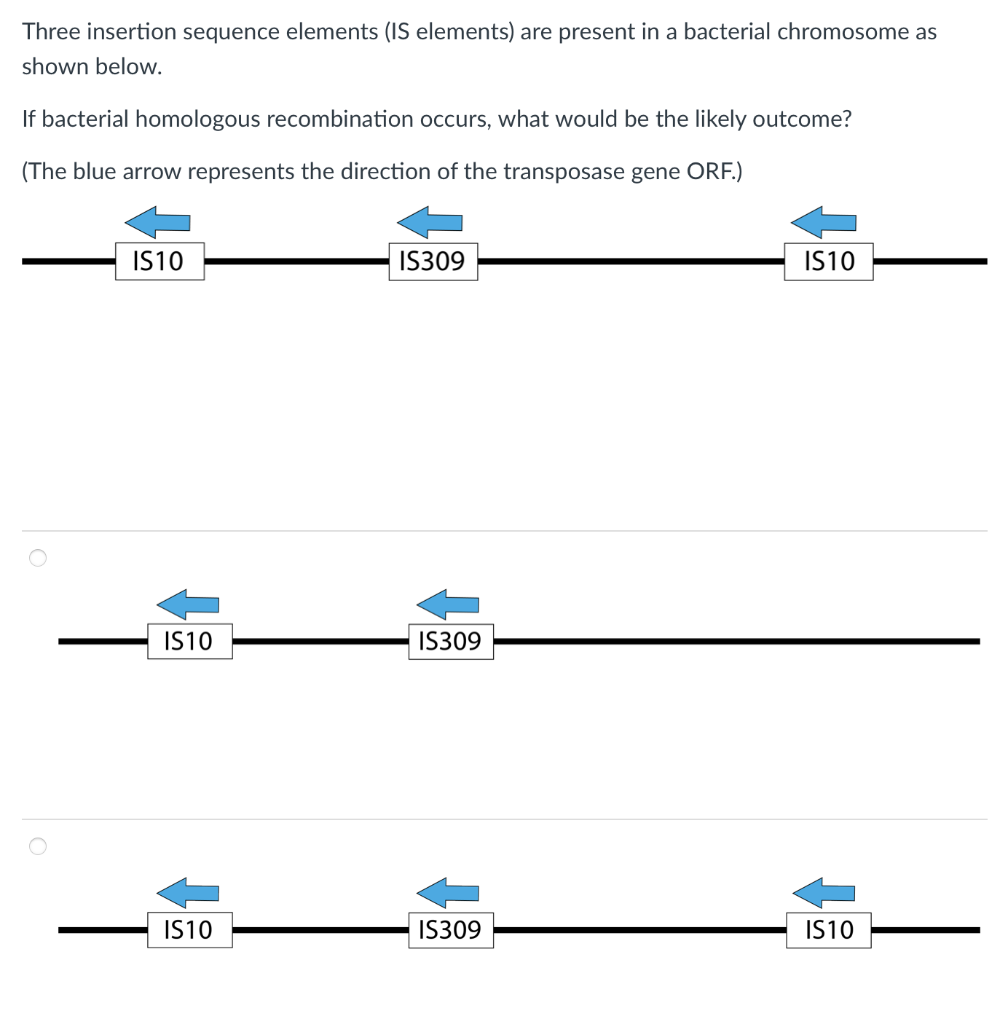 Three insertion sequence elements (IS elements) are present in a bacterial chromosome as shown below.
If bacterial homologous