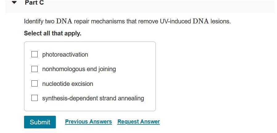 Solved Part C Identify two DNA repair mechanisms that remove | Chegg.com