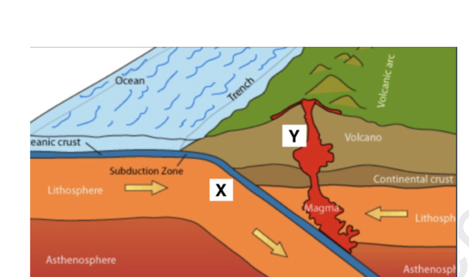 Solved Which of the following is most likely true about the | Chegg.com