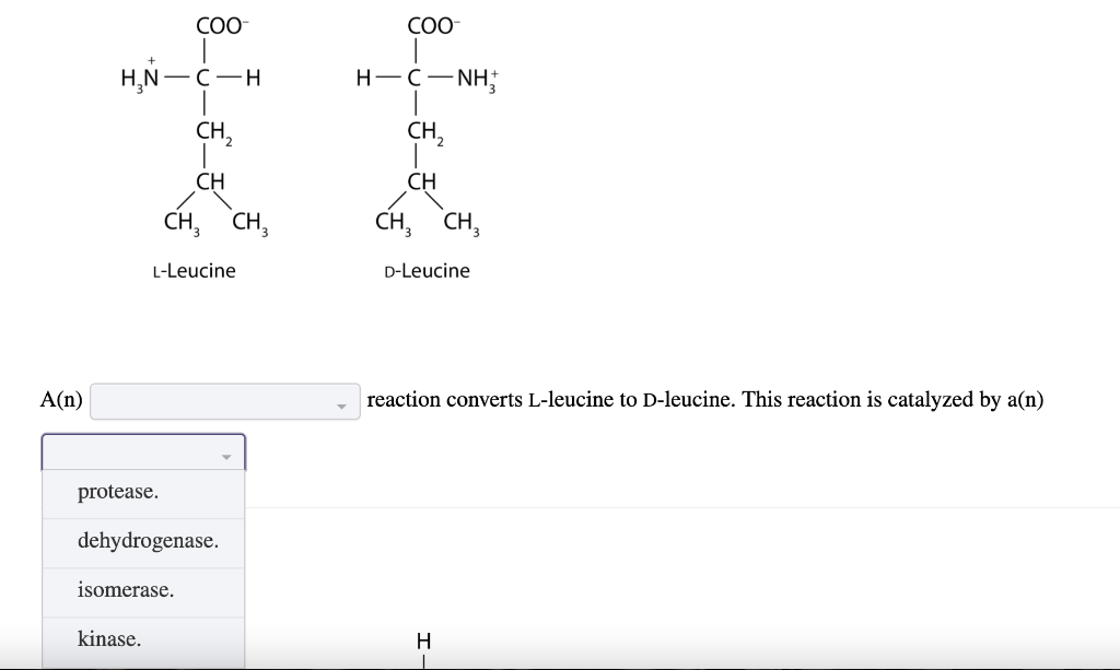 R Ch2 Ch Ch C S Coa Ii Trans Enoyl Coa A N Chegg Com