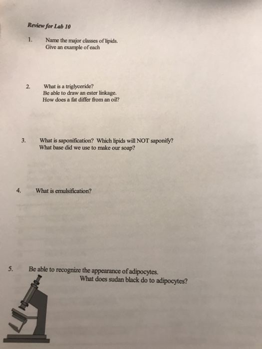 Solved Review for Lab 10 1. Name the major classes of | Chegg.com