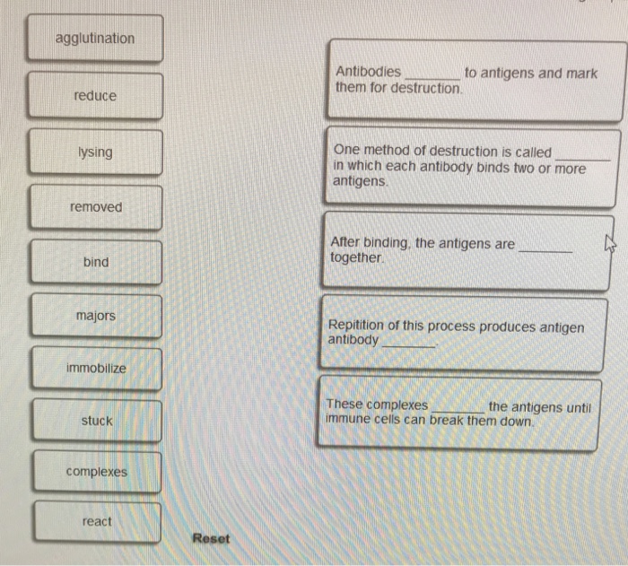 Solved agglutination Antibodies them for destruction. w. to