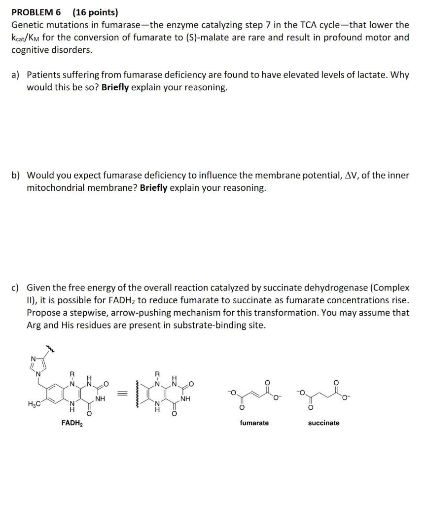 Solved PROBLEM 6 (16 points) Genetic mutations in | Chegg.com
