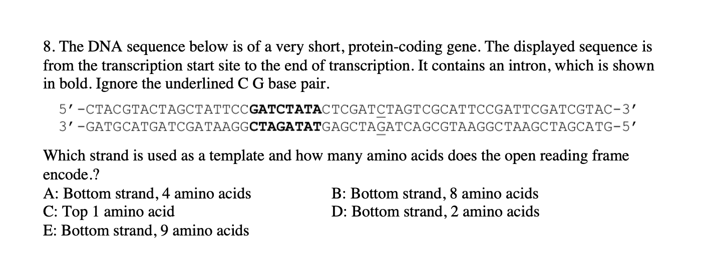 Solved 8. The DNA sequence below is of a very short, | Chegg.com
