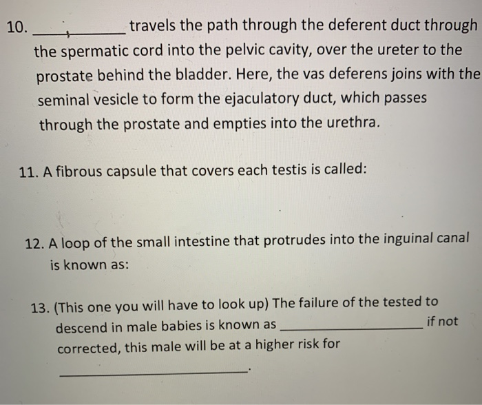 Solved 10. travels the path through the deferent duct