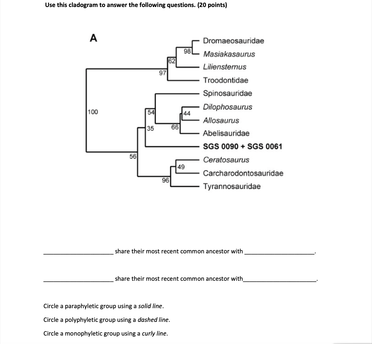 Solved Use this cladogram to answer the following questions. | Chegg.com