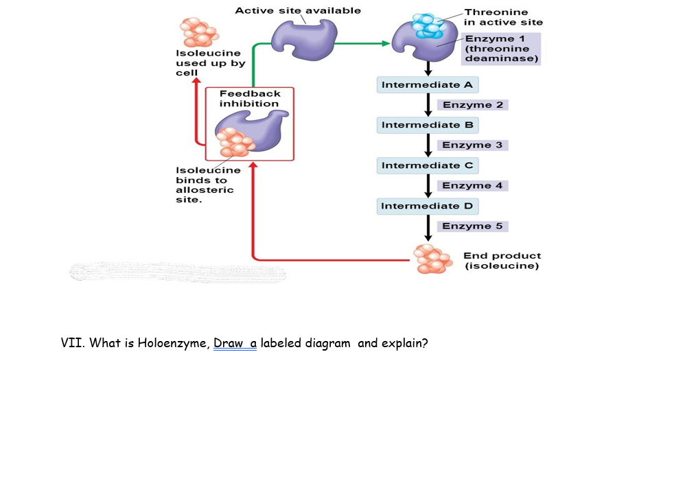 Solved Active site available Threonine in active site Enzyme | Chegg.com