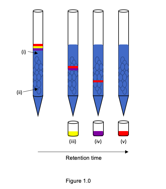 Solved Figure 1 shows the gel filtration chromatography | Chegg.com