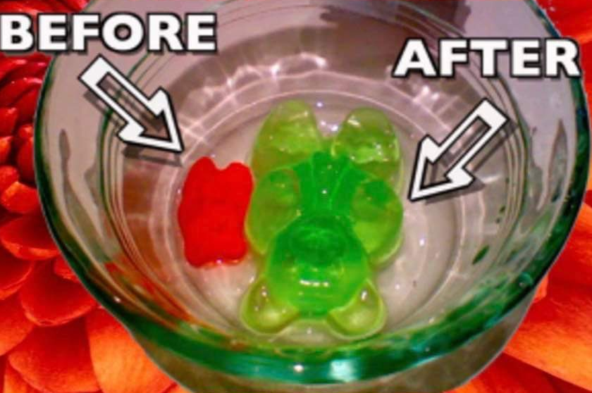 What would a gummy bear look like on growth hormones? We finally have the  answer The new BIG gumm 