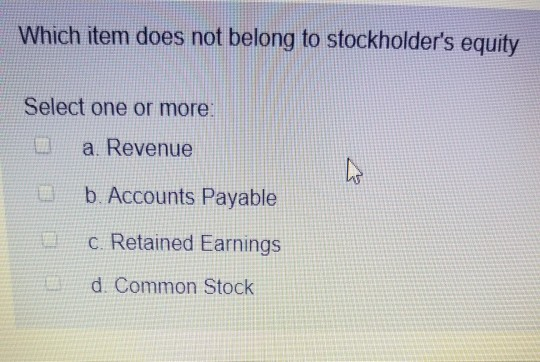 Solved Which Item Does Not Belong To Stockholder s Equity Chegg
