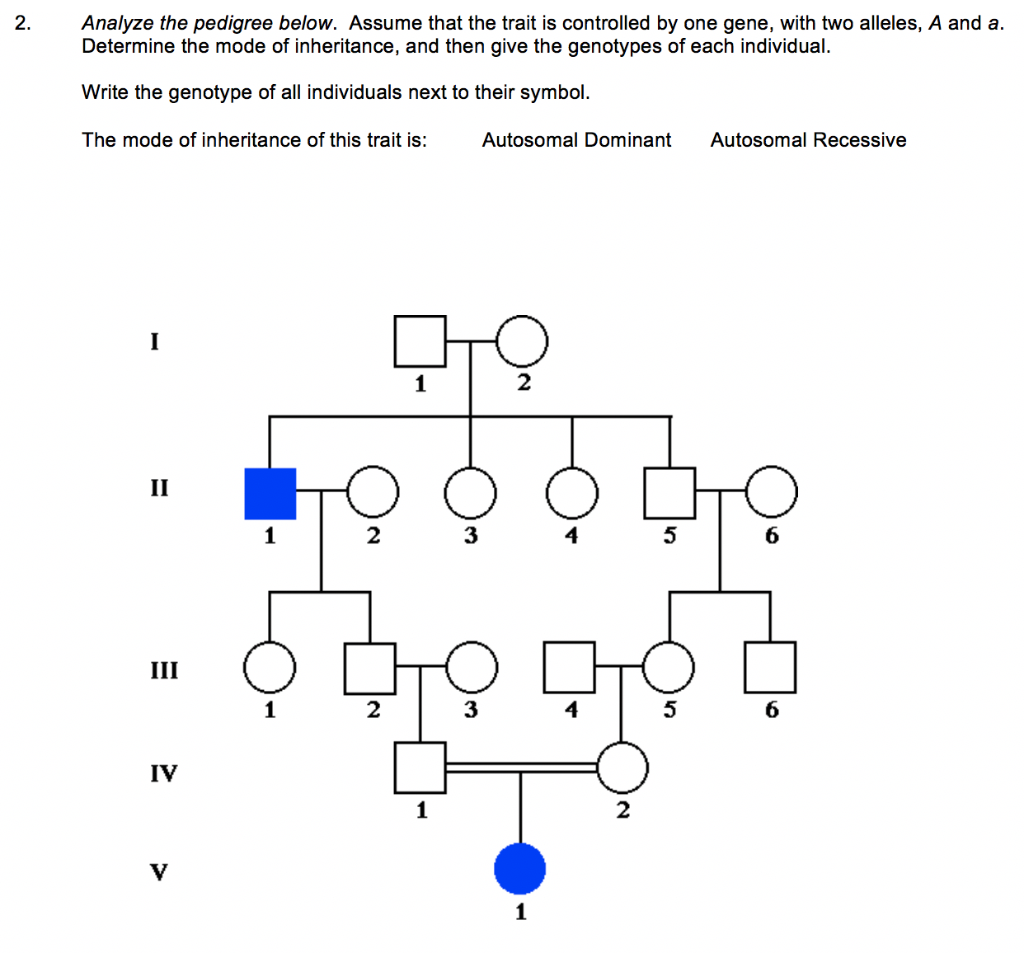 Solved Analyze the pedigree below. Assume that the trait is | Chegg.com