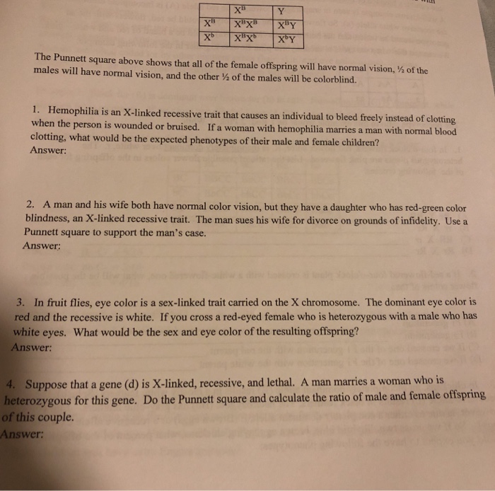 Solved The Punnett square above shows that all of the female | Chegg.com