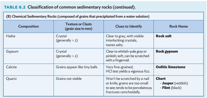 Subangle Rocks Solved SEDIMENTARY ROCKS WORKSHEET Sample Number or Letter | Chegg.com