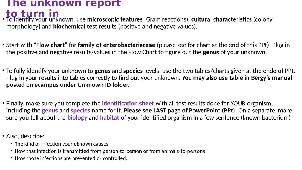 A “Virtual” Unknown Bacteria Identification Phylum | Chegg.com
