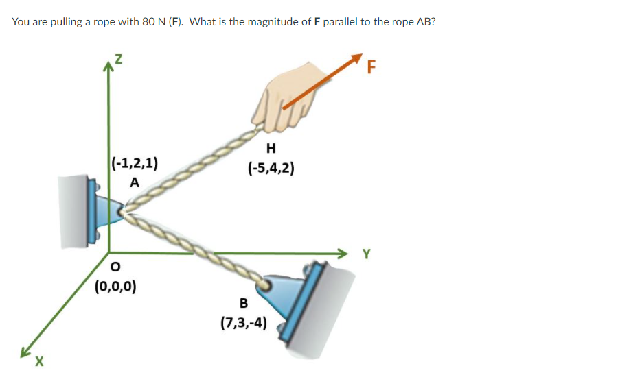 Solved You are pulling a rope with 80 N (F). What is the | Chegg.com