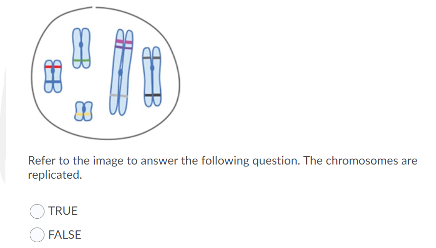 Solved This Chegg post's question has two parts,15,16. A | Chegg.com