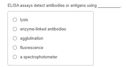 Solved ELISA Assays Detect Antibodies Or Antigens Using | Chegg.com