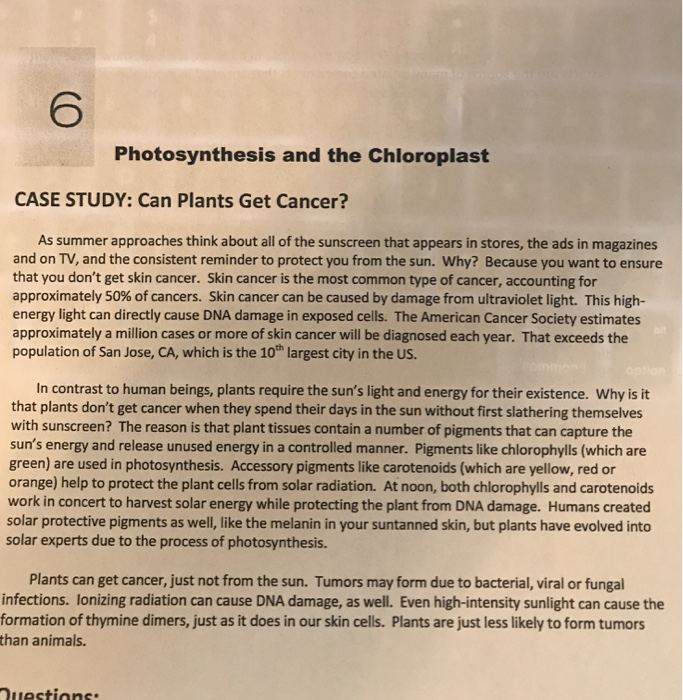 Solved 6 Photosynthesis and the Chloroplast CASE STUDY Can