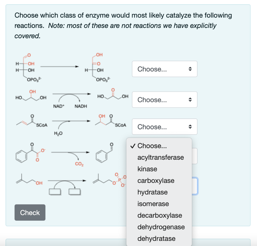 Solved Choose which class of enzyme would most likely