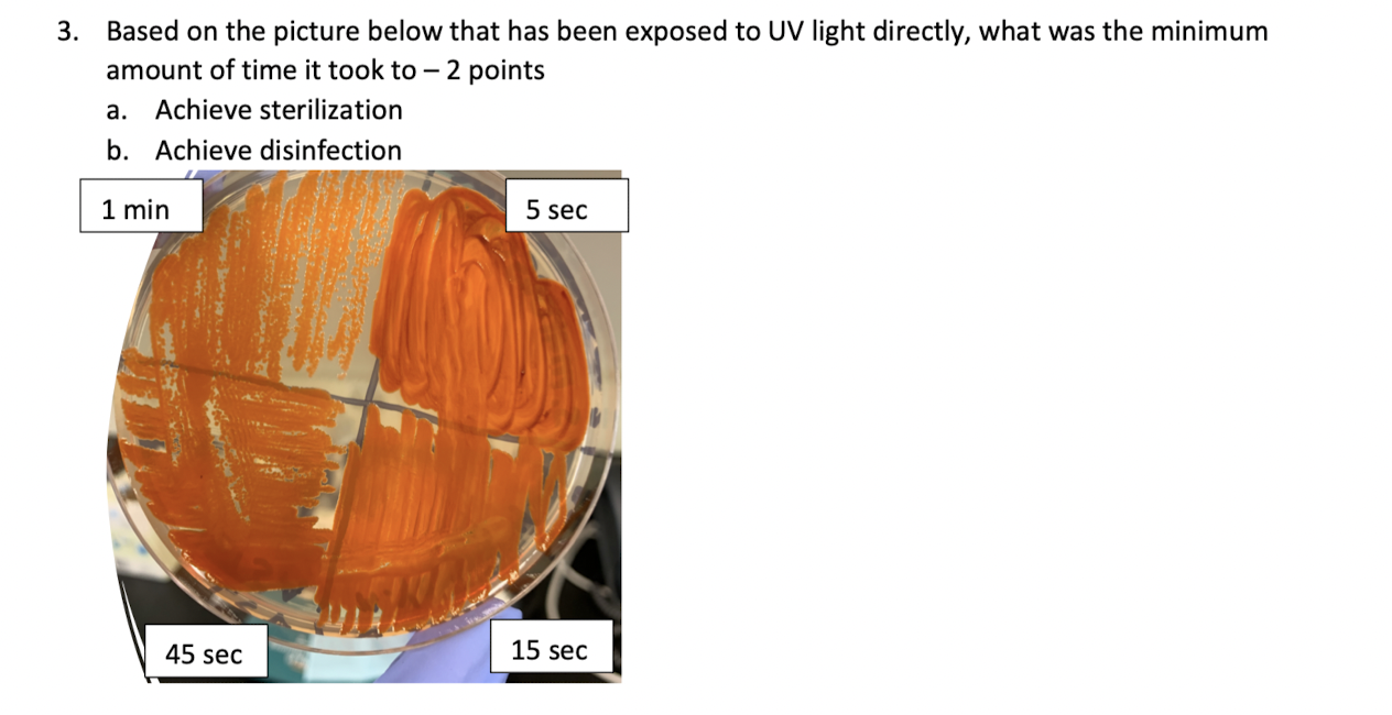 Solved Based on the picture below that has been exposed to | Chegg.com