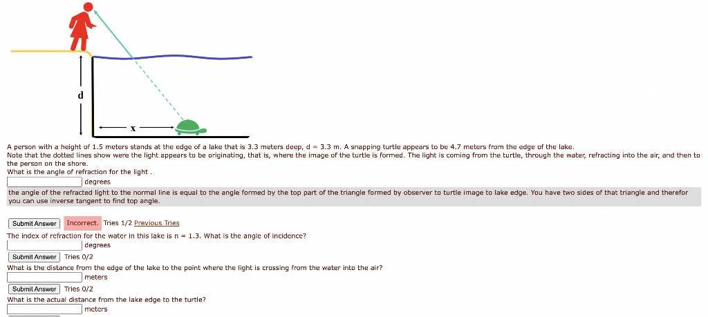 Solved d A person with a height of 1.5 meters stands at the | Chegg.com