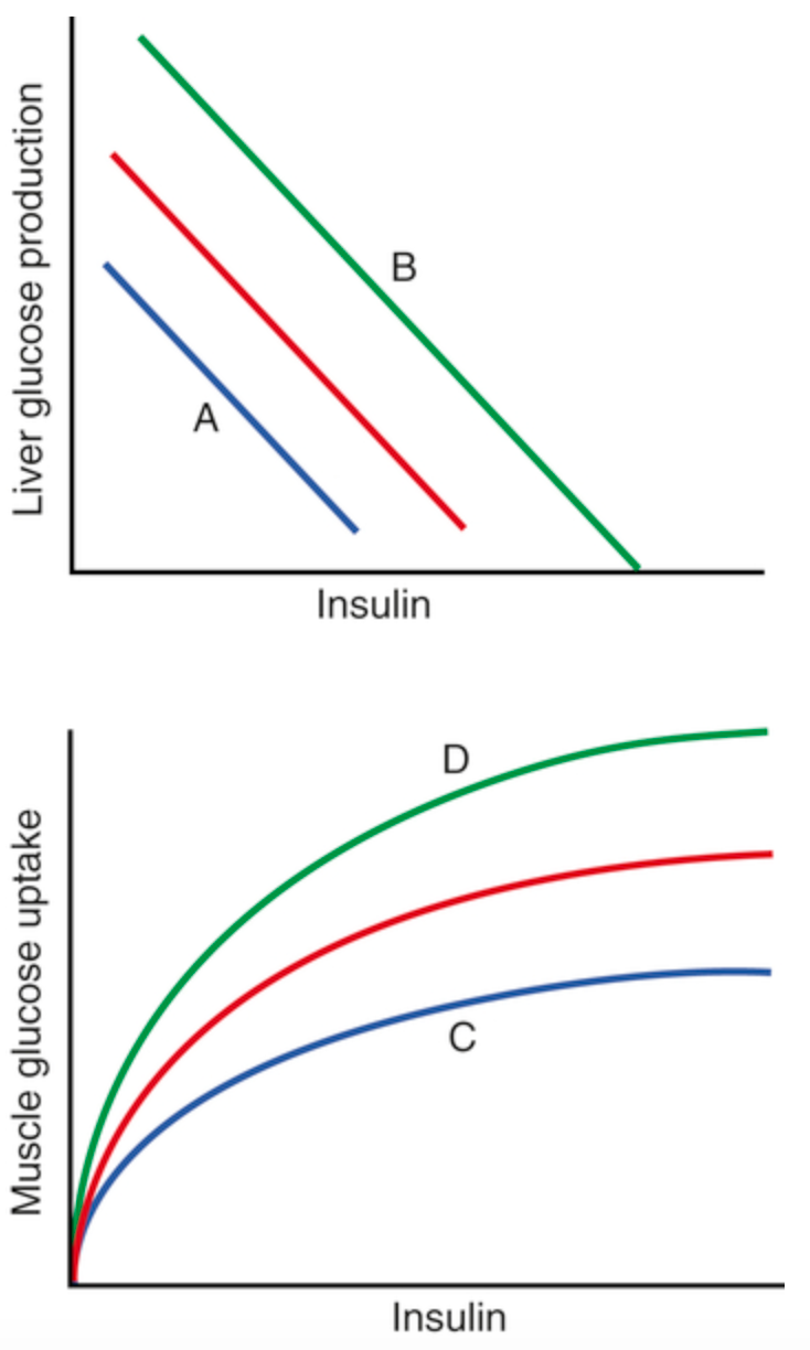 Graph showing linear relationship (trend line) of insulin levels