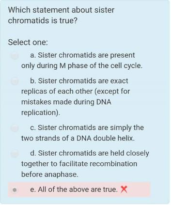 Solved Which Statement About Sister Chromatids Is True? | Chegg.com Solved Which Statement About Sister Chromatids Is True? | Chegg.com