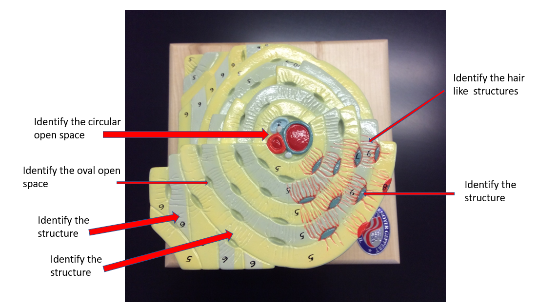 Solved lab 4-7 | Chegg.com