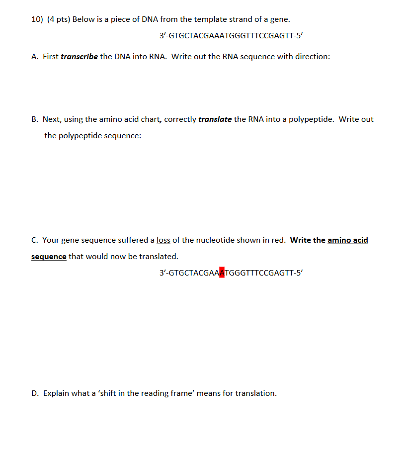 Solved 10) (4 ﻿pts) ﻿Below is a piece of DNA from the | Chegg.com