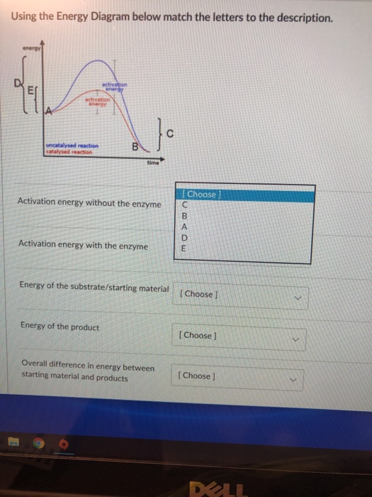 Solved Using the Energy Diagram below match the letters to | Chegg.com