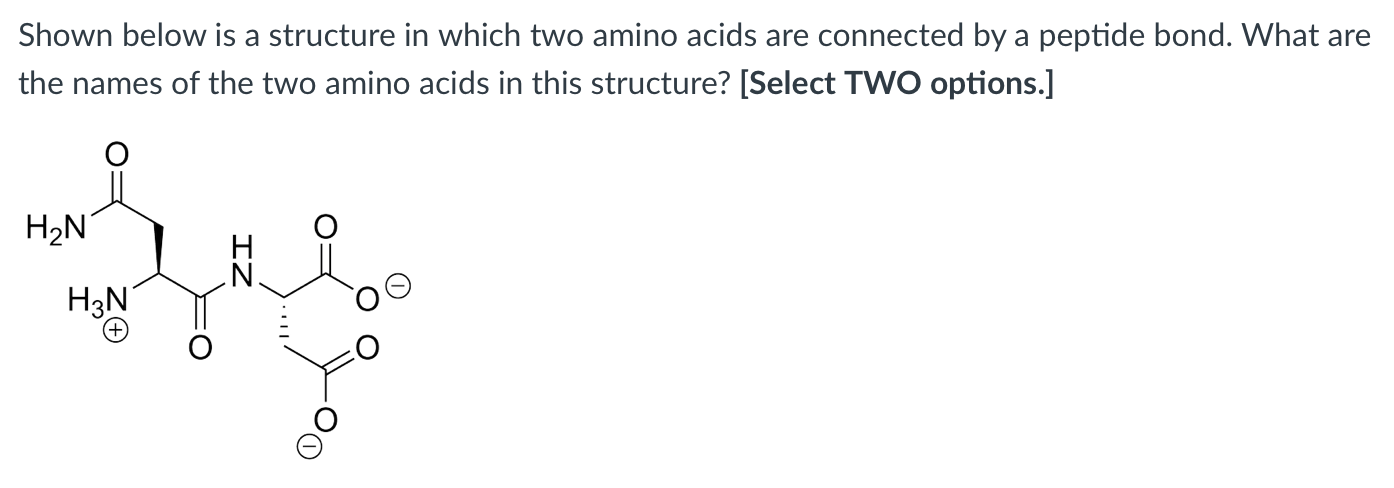 Solved Shown below is a structure in which two amino acids | Chegg.com