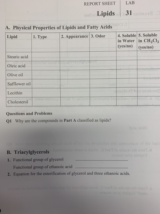 Solved REPORT SHEET LAB Lipids 31 A. Physical Properties of