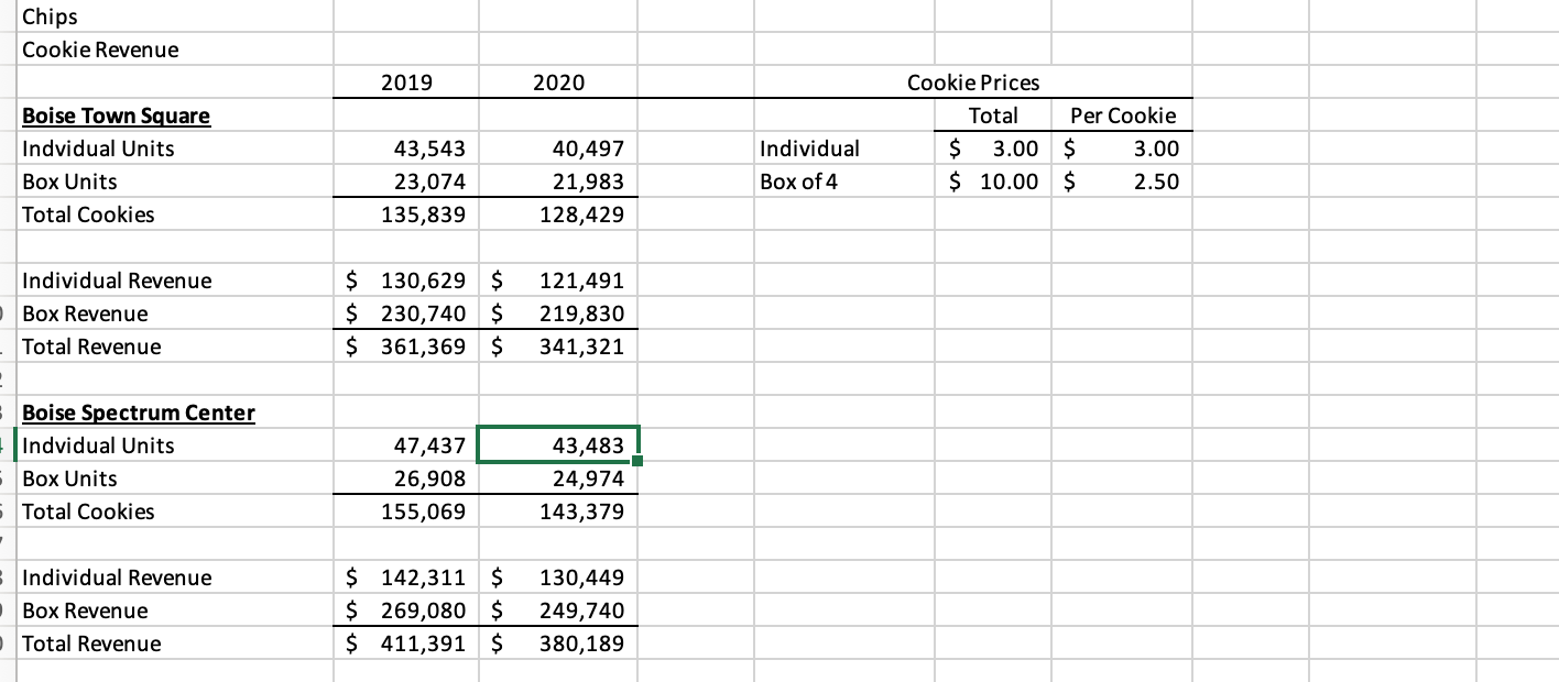 Chips Income Statement 2020 (Year 1) Pro- Forma 1 | Chegg.com