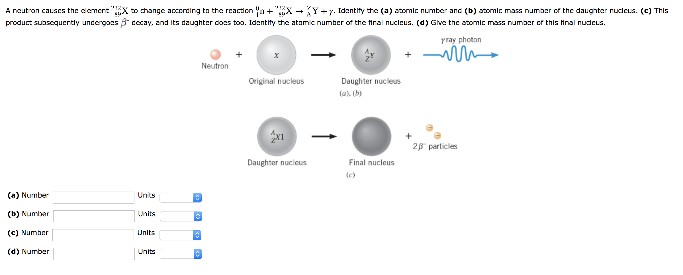 Solved A Neutron Causes The Element 233 X To Change Accor Chegg Com