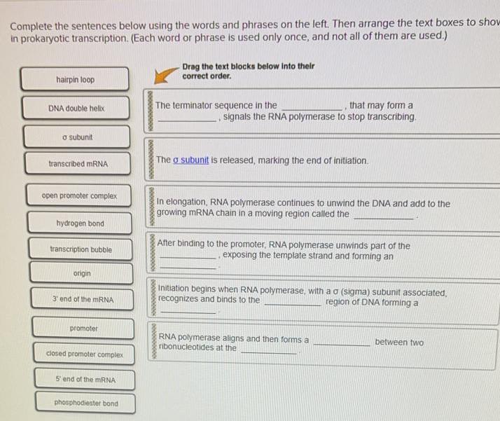 solved-complete-the-sentences-below-using-the-words-and-chegg