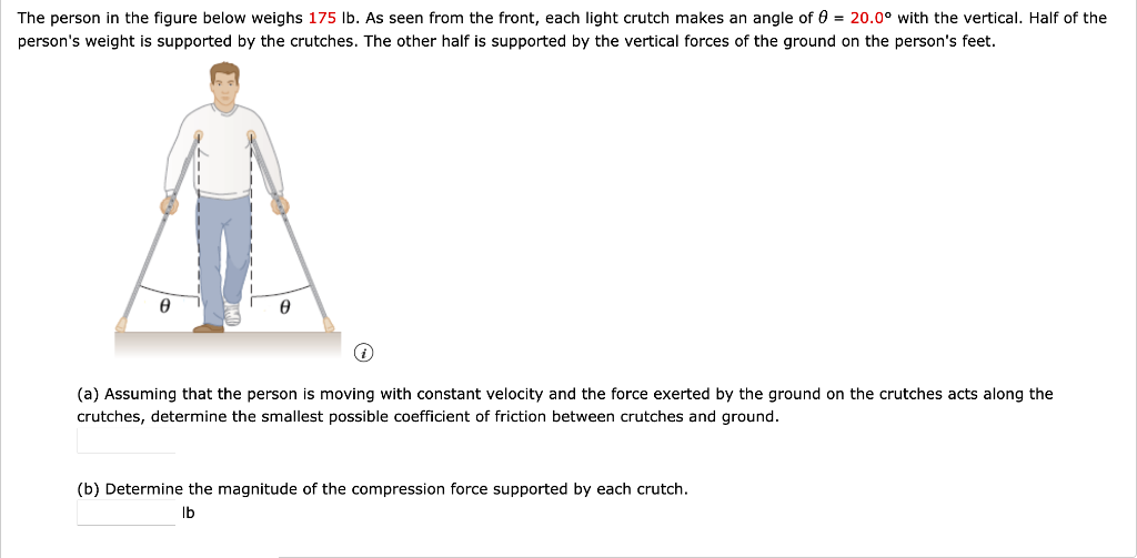 Solved The person in the figure below weighs 175 lb. As seen | Chegg.com