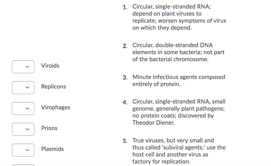 1 Circular Single Stranded Rna Depend On Plant Chegg Com