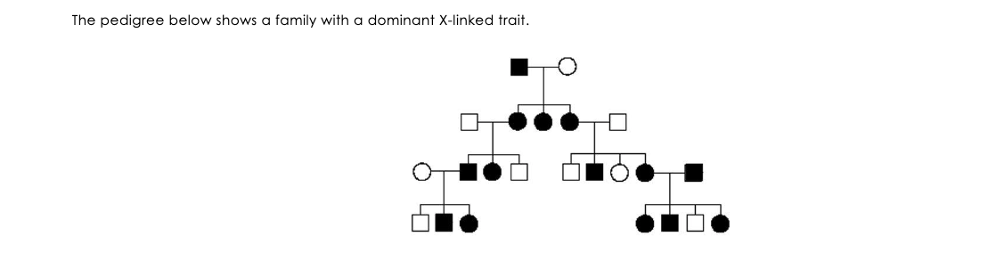 Solved The pedigree below shows a family with a dominant | Chegg.com