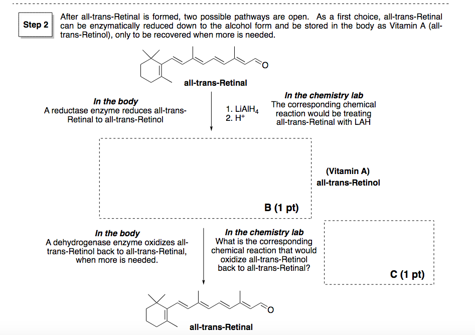 Solved The Chemistry Behind Initiation Of Vision B Caro Chegg Com