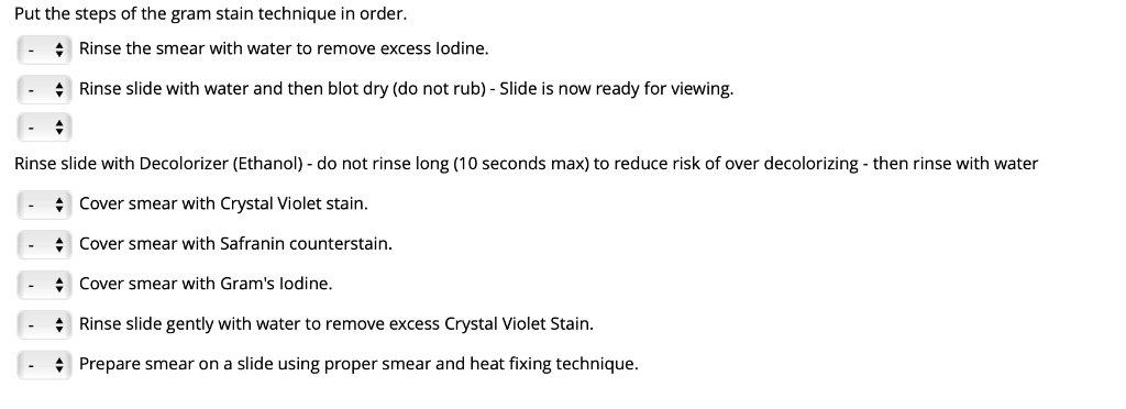 Solved Put the steps of the gram stain technique in order - | Chegg.com