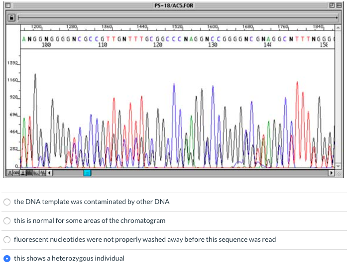 The options below. Sanger sequencing chromatogram. Фореграмма. Фореграмм.