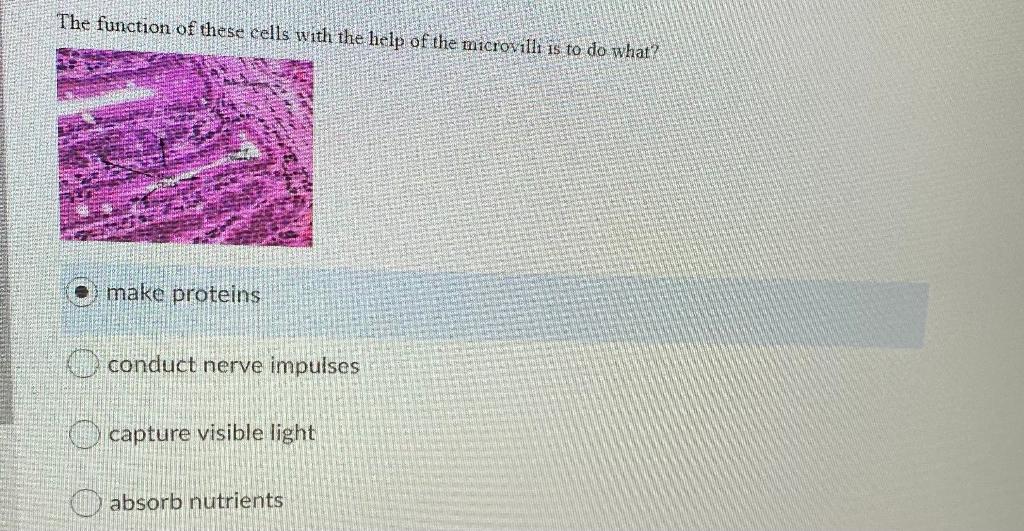 Solved The function of these cells with the help of the | Chegg.com