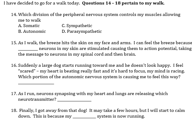 Solved I have decided to go for a walk today. Questions 14 - | Chegg.com