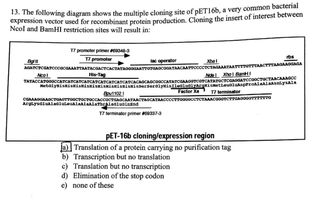 Solved The following diagram shows the multiple cloning site | Chegg.com