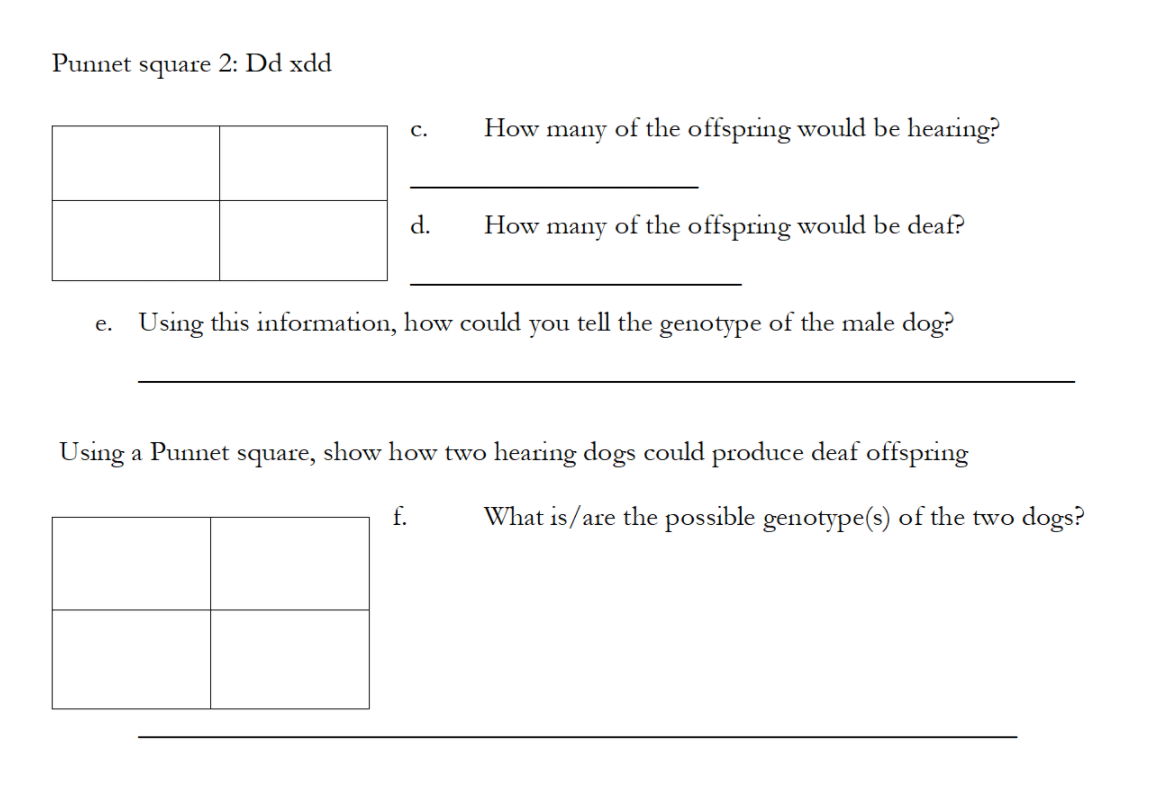 Solved Monohybrid Cross Fold Your Hands Together So Your Chegg Com