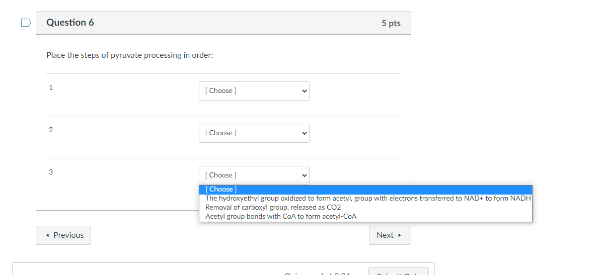 Solved Question 6 5 pts Place the steps of pyruvate | Chegg.com