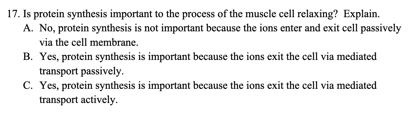 Solved 17. Is Protein Synthesis Important To The Process Of | Chegg.com